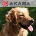 "Акана" - корм для домашних животных