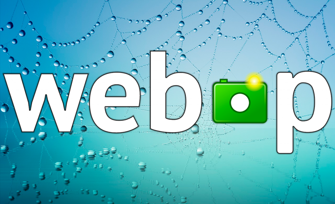 Webp to gif. Webp изображения. Формат webp. Изображение в формате webp. Фото webp.